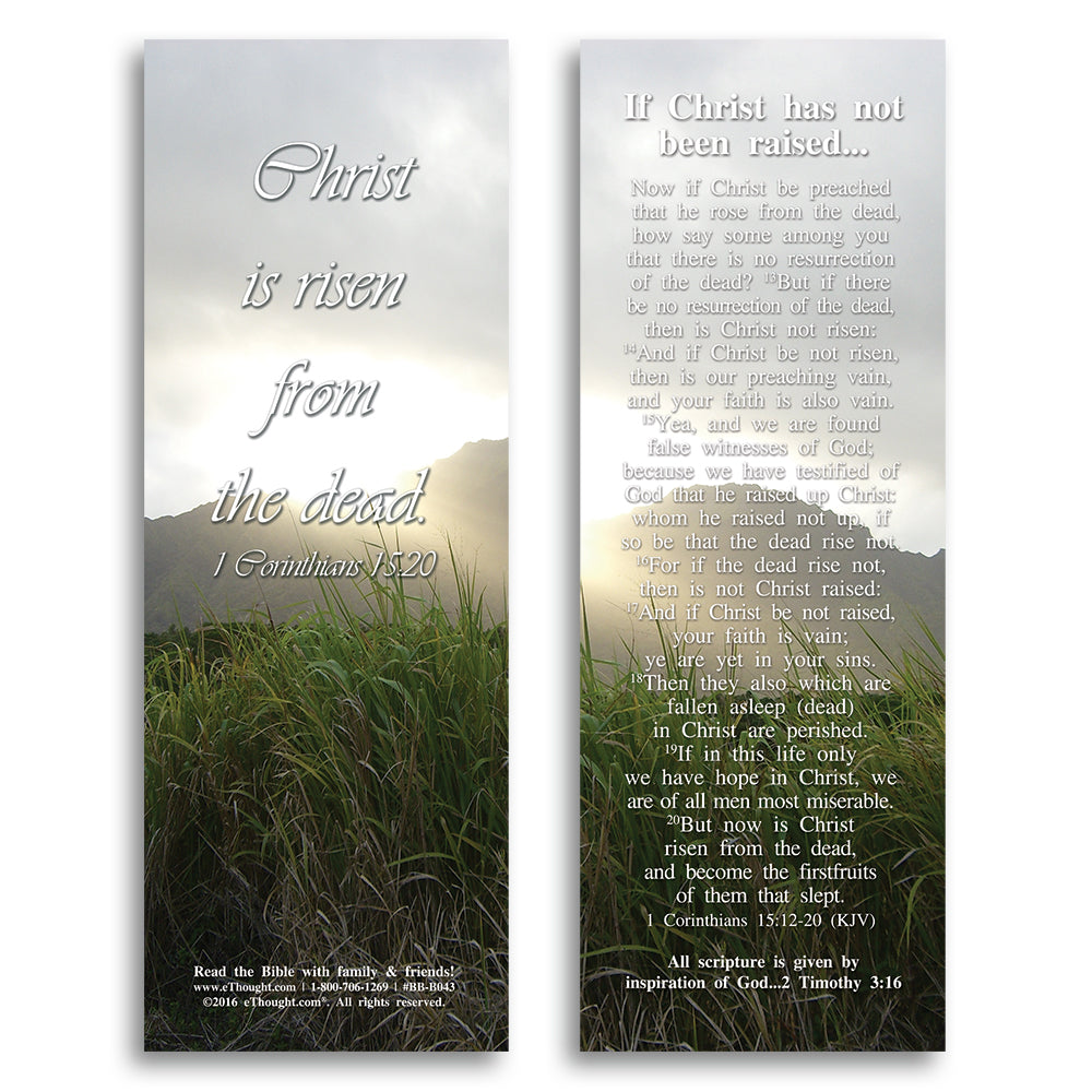 If Christ Has Not Been Raised - Pack of 25 Cards - 2x6