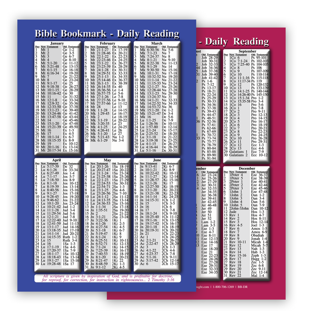 Daily Bible Reading Schedule for Year - Pack of 25 Cards
