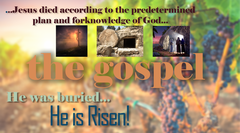 Load video: The gospel of Jesus Christ