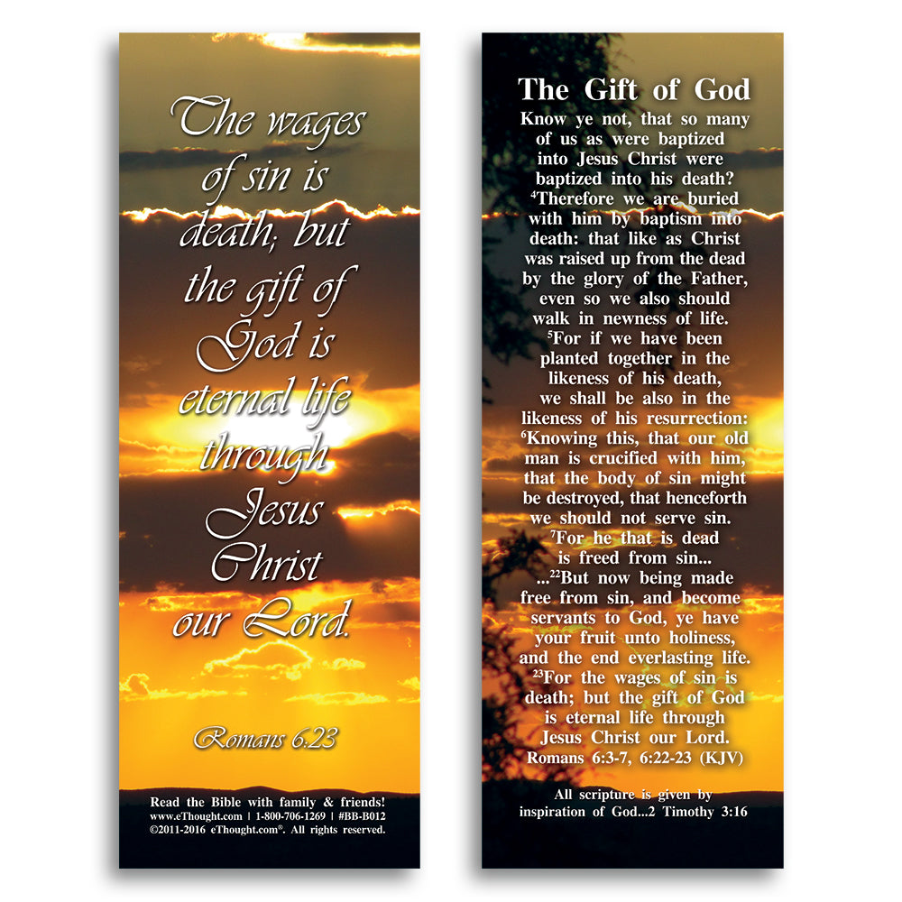 The Gift of God - Pack of 25 Cards - 2x6