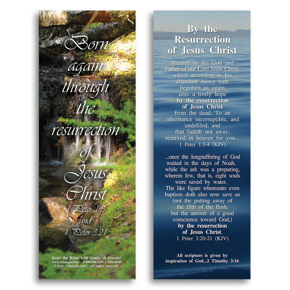 
                  
                    By the Resurrection of Jesus Christ - Pack of 25 Cards - 2x6
                  
                