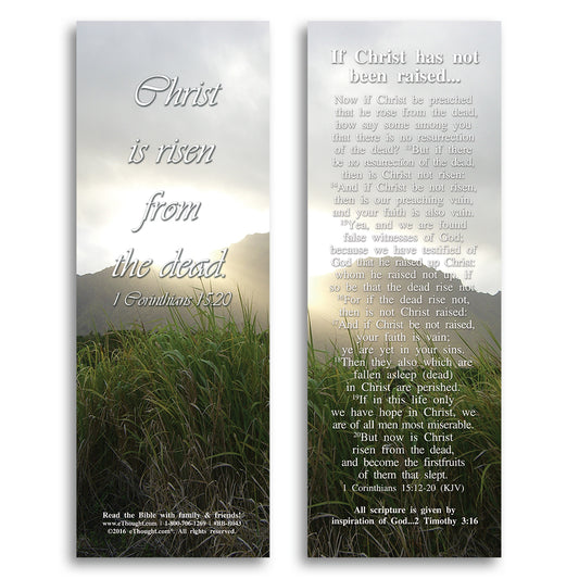 If Christ Has Not Been Raised - Pack of 25 Cards - 2x6