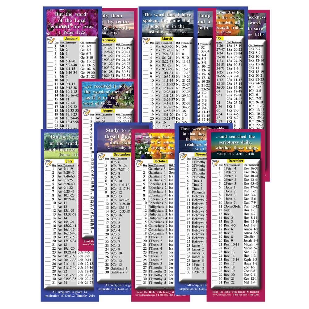 Daily Bible Reading Schedule By Month - Four Sets (24 Cards Total)
