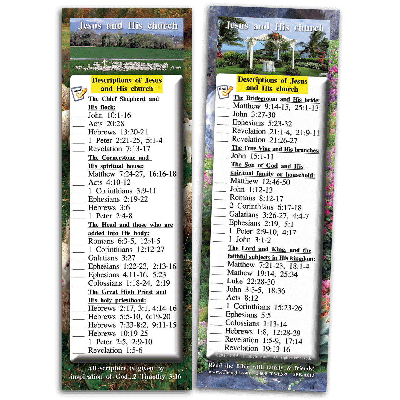 
                  
                    Descriptions of Jesus and His Church - Pack of 25 Cards
                  
                