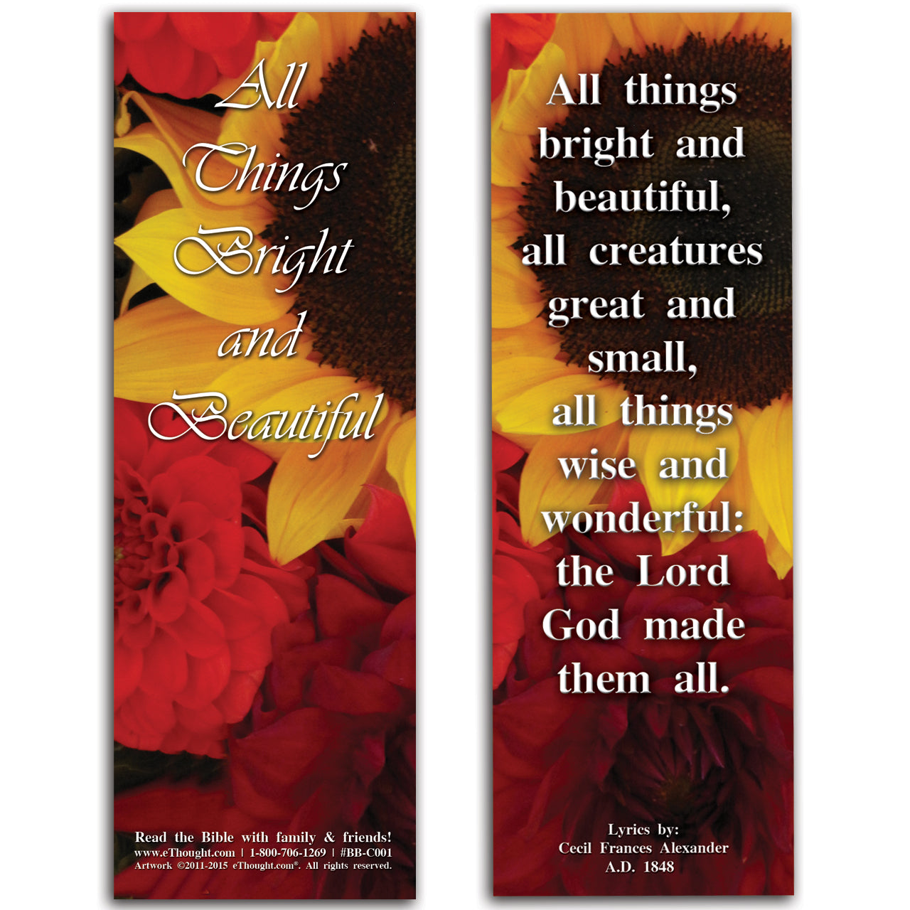 
                  
                    All Things Bright and Beautiful - Pack of 25 Cards - 2x6
                  
                